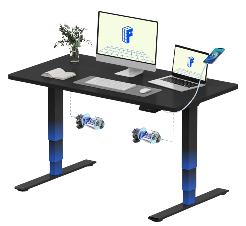 FLEXISPOT Electric Standing Desk