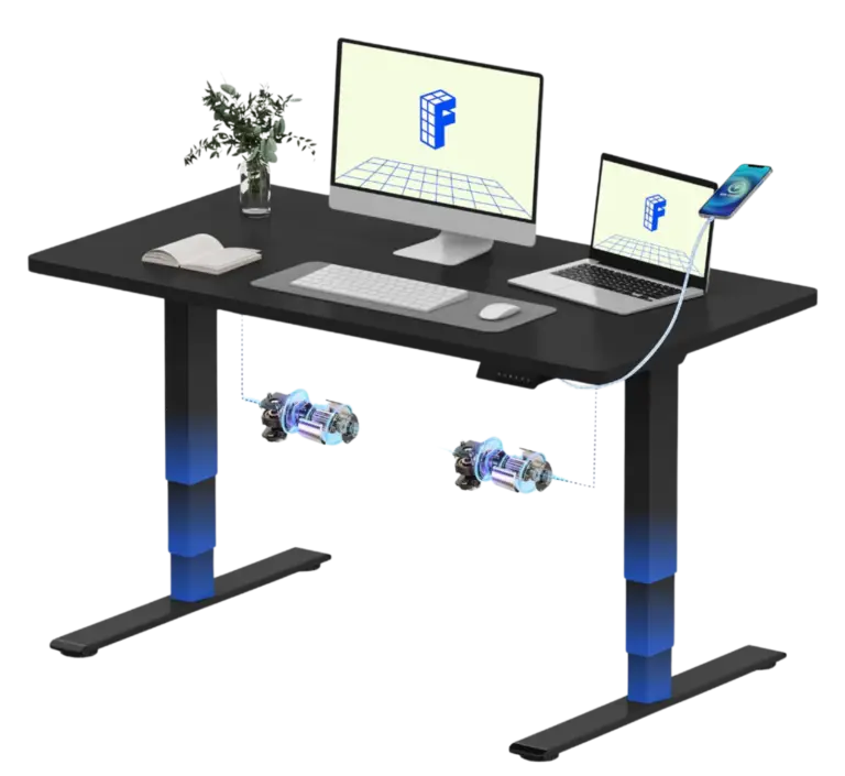 FLEXISPOT Electric Standing Desk