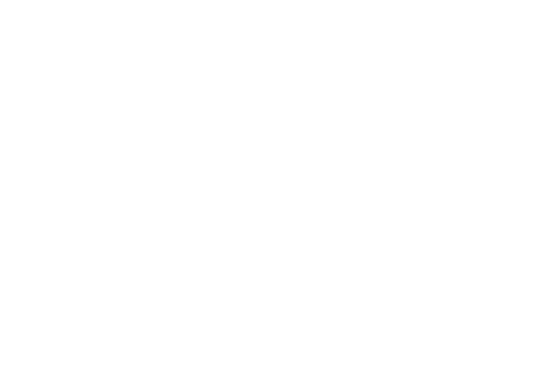 Vice Casting Logo